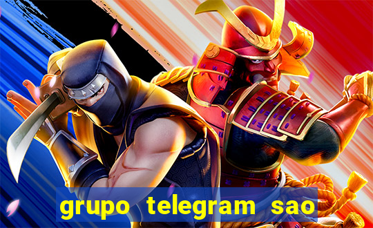 grupo telegram sao jose do rio preto